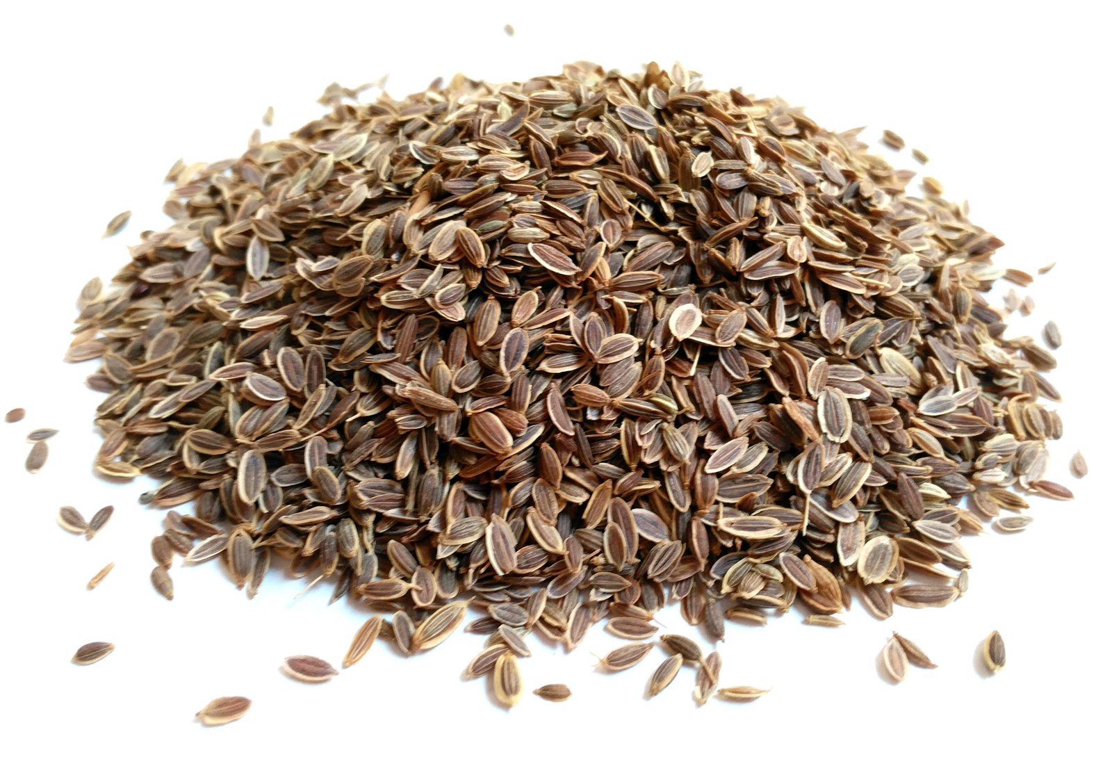 Dill Seeds